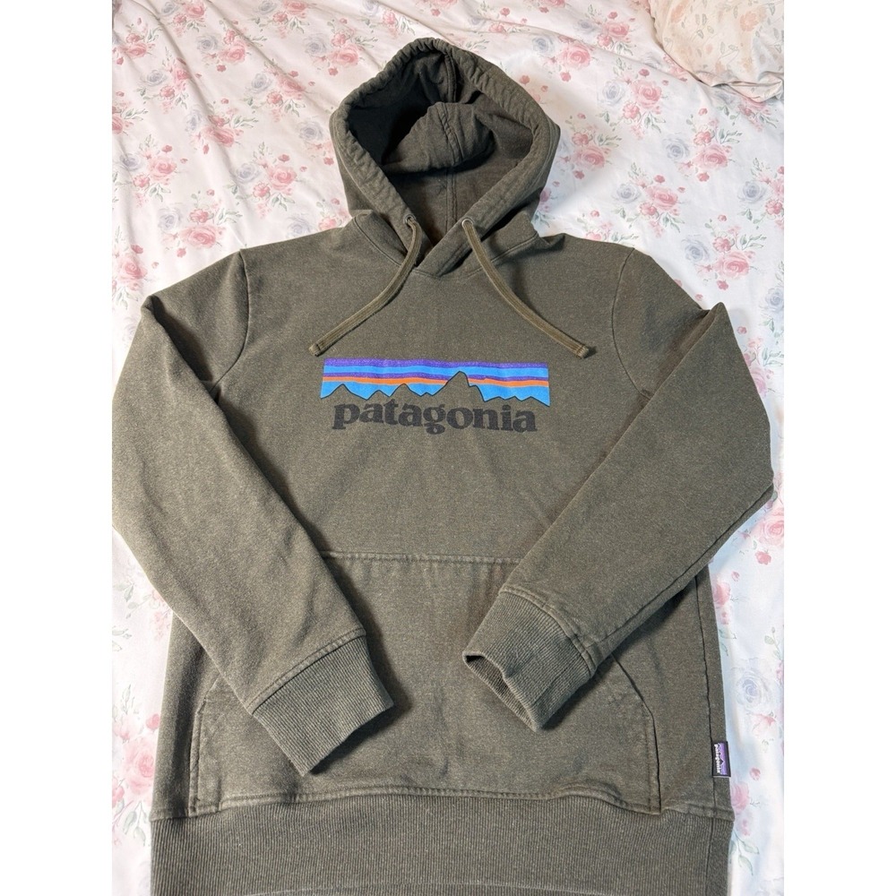 Patagonia Logo Hoodie Pullover Gray‎ Women's Small
